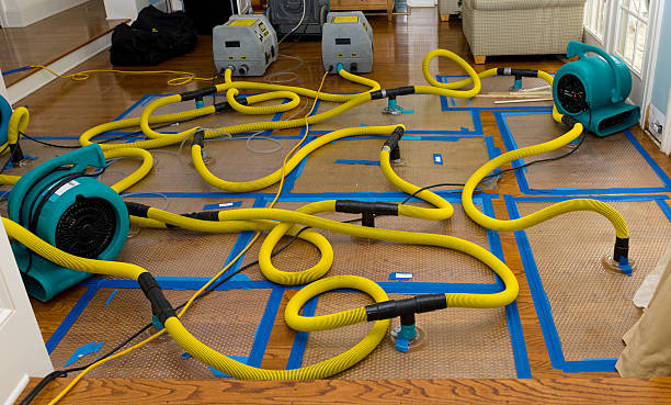 Professional Sewage Cleanup technician working in Hood, CA